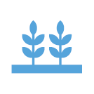 Open Space Icon